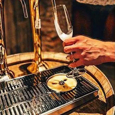 All Inclusive - Nimfa The Best 10 Daire *