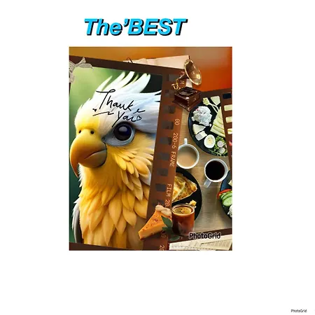 Daire All Inclusive - Nimfa The Best 10 Kudowa-Zdroj